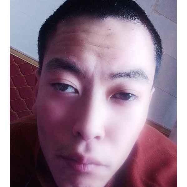 宁夏25岁单身帅哥真诚找对象-神农架征婚相亲网